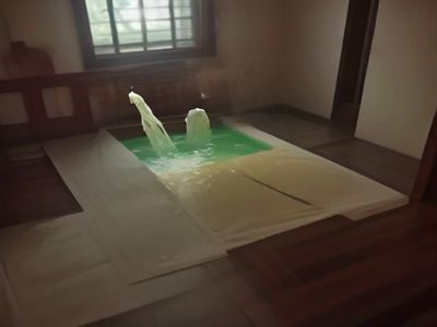 女性编辑在电脑前认真核对资料文档的工作场景，办公室采光明亮
